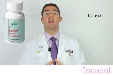 Incasol Sitio Web Oficial